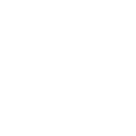 rains-zaini